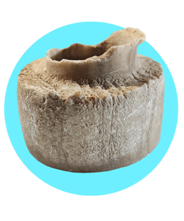  ظرف باستانی در دیاکو سایت ایلام